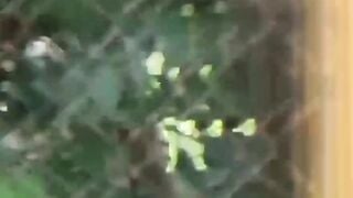 NipponPissTV.com - Young Japanese hotties secretly pissing all around town
