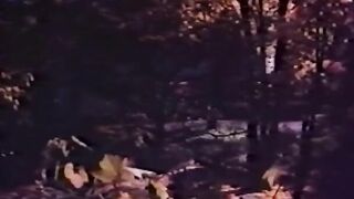 The Hardy Girls (1974, US, full scene, DVD)