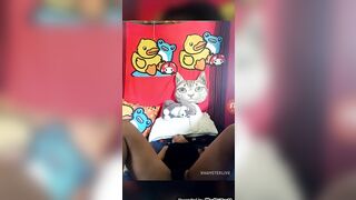 Thailand Lola - oriental live dancing and fellatio with vibrator on xhamster