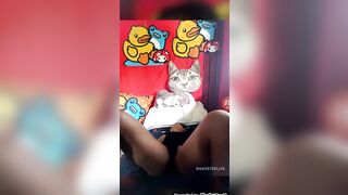 Thailand Lola - oriental live dancing and fellatio with vibrator on xhamster