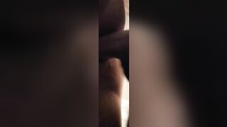 slow doggie