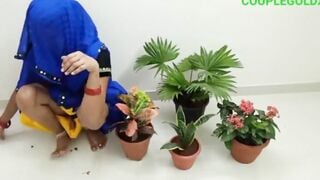 A kitane me podha Bahut haryali hai