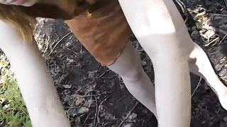 Bushy Snatch Into The Woods - Lucy Sky & Grey