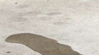 NipponPissTV.com - Naughty Japanese cuties openly pissing in the streets outdoors