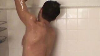 Paul S Morning Wood