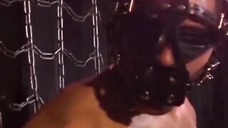 MuscleJockBound.com - Muscular man's underwear-only restraint and domination in a swe
