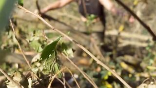 Blowing my boner inside a nice field