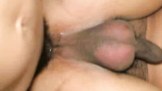 Art And Lek