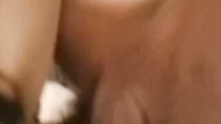 Cute Asian babe Tina Tai orally pleasured before hard fuck