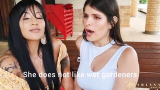 Turned On friends plowed the Gardener