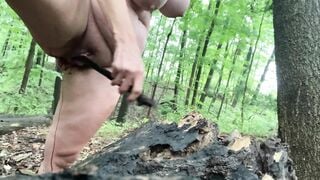 Hiking Inside The Forest