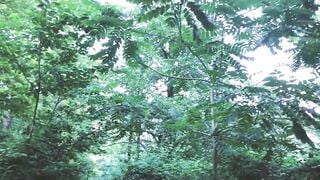 Teens sex into the forest, inside a tent. REAL SEX TAPE