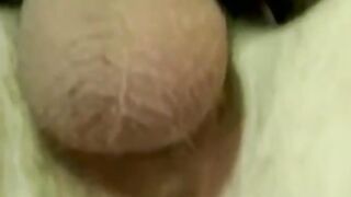 Amateur sucked skillfully before slow bareback pounding
