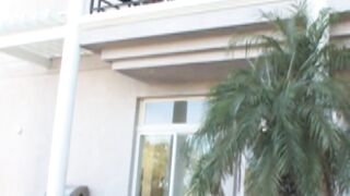 VividPassword.com - Black chick's cute bubble butt takes a bbc inside her