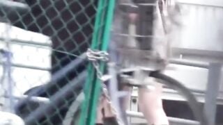 NipponSexTV.com - Classy Japanese babes in sexy skirts secretly filmed by voyeur