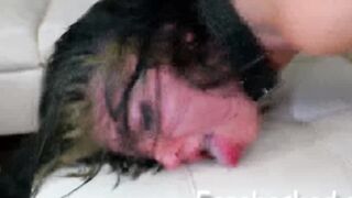 Rough and real humiliating nasty sex compilation Hoe 2