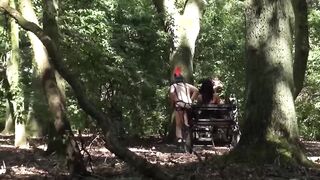 The  Race