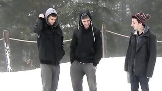Cute twinks have a threeway in the cabin after taking a walk