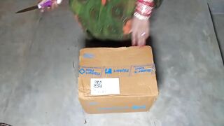 Got banged from flipkart delivery boy instead of cash when my hubby not home