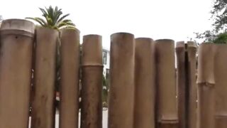 Dani Lynn - Make me cum