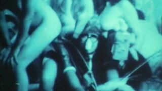 Oiled Up (1975, US, CJ Laing, Jamie Gillis, full clip DVD)