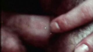 Oiled Up (1975, US, CJ Laing, Jamie Gillis, full clip DVD)