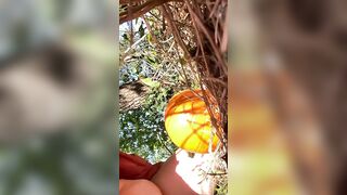Pumpkin Humping