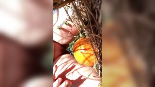 Pumpkin Humping