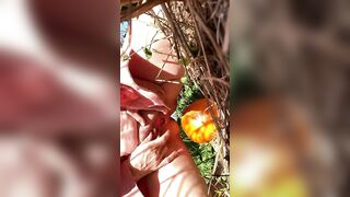 Pumpkin Humping