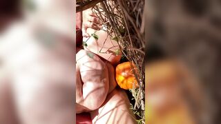 Pumpkin Humping