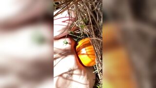 Pumpkin Humping