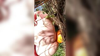 Pumpkin Humping