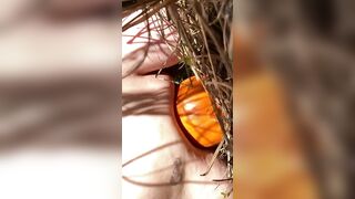 Pumpkin Humping