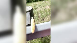 Corn Fucking