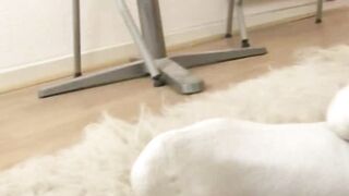 Vid01 Hd Gay Porn