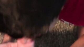 Attractive stud sucks cock and balls till rock hard