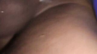 Attractive stud sucks cock and balls till rock hard