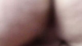 Attractive stud sucks cock and balls till rock hard
