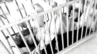 The hot and the cage: The sexsual version