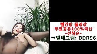 Korea's Best ORAL SEX Cat Award. Adorable Background