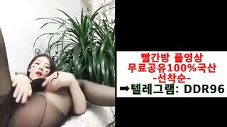 Korea's Best ORAL SEX Cat Award. Adorable Background