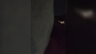 Under the Moon lite