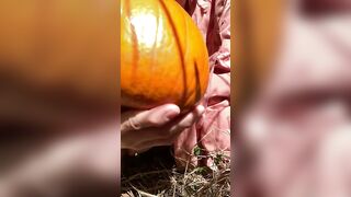 Pumpkin Halloween Bj