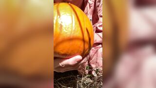 Pumpkin Halloween Bj