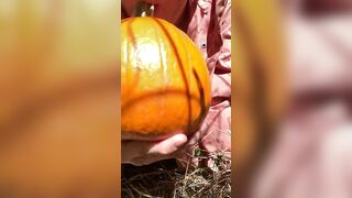 Pumpkin Halloween Bj