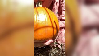 Pumpkin Halloween Bj