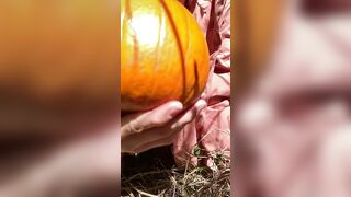 Pumpkin Halloween Bj