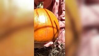 Pumpkin Halloween Bj