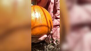 Pumpkin Halloween Bj