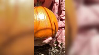 Pumpkin Halloween Bj